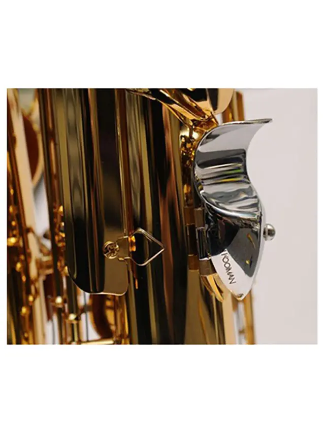 sax-acc-andere-Ton-Kooiman-forza-(1).webp