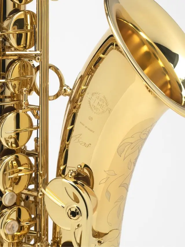 Tenor-Axos-4.webp