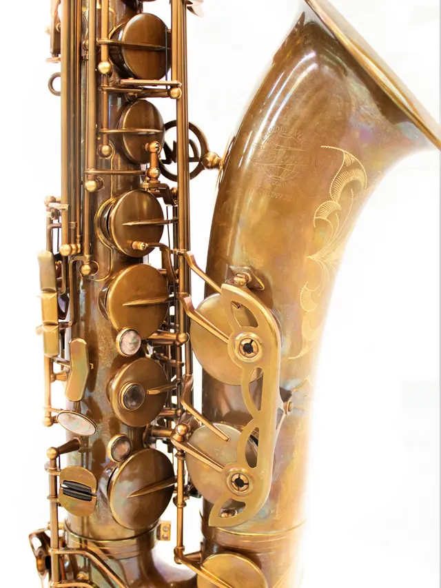 Tenor-Universal-RAW-01.webp