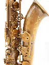 Tenor-Universal-RAW-01.webp