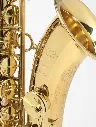 Tenor-Axos-4.webp