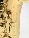 Tenor-Axos-6.webp