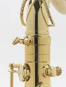 Tenor-Axos-7.webp