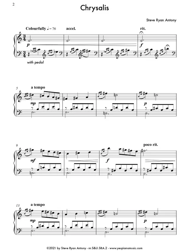 chrysalis 2.webp