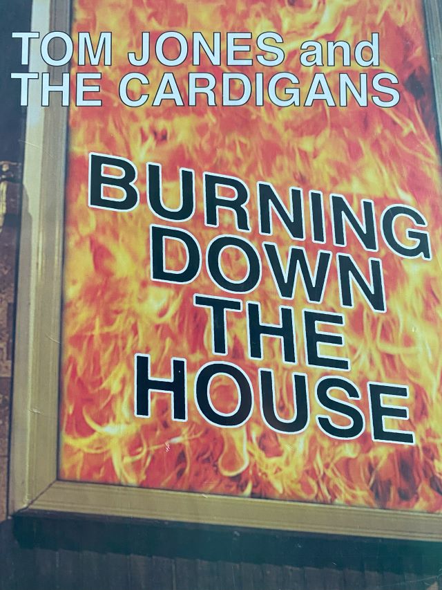 Burning down the House - Tom Jones and The Cardigans