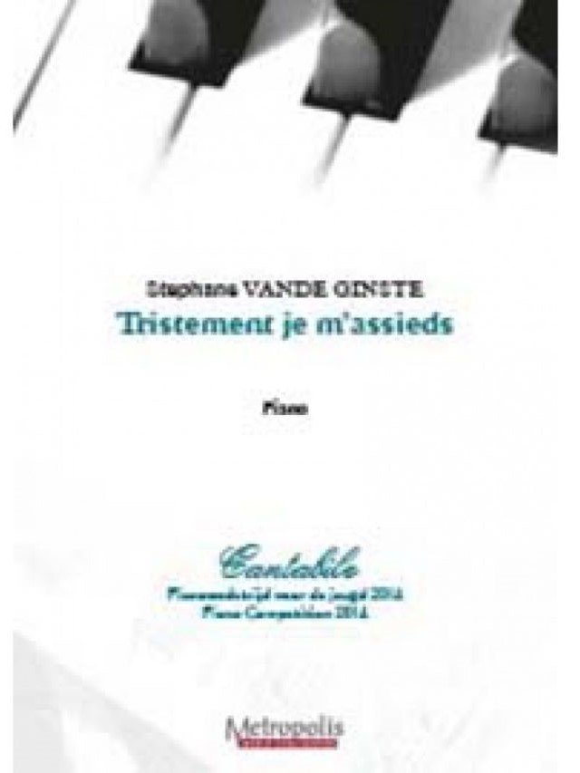 Tristement je m'assieds - Stephane Vande Ginste
